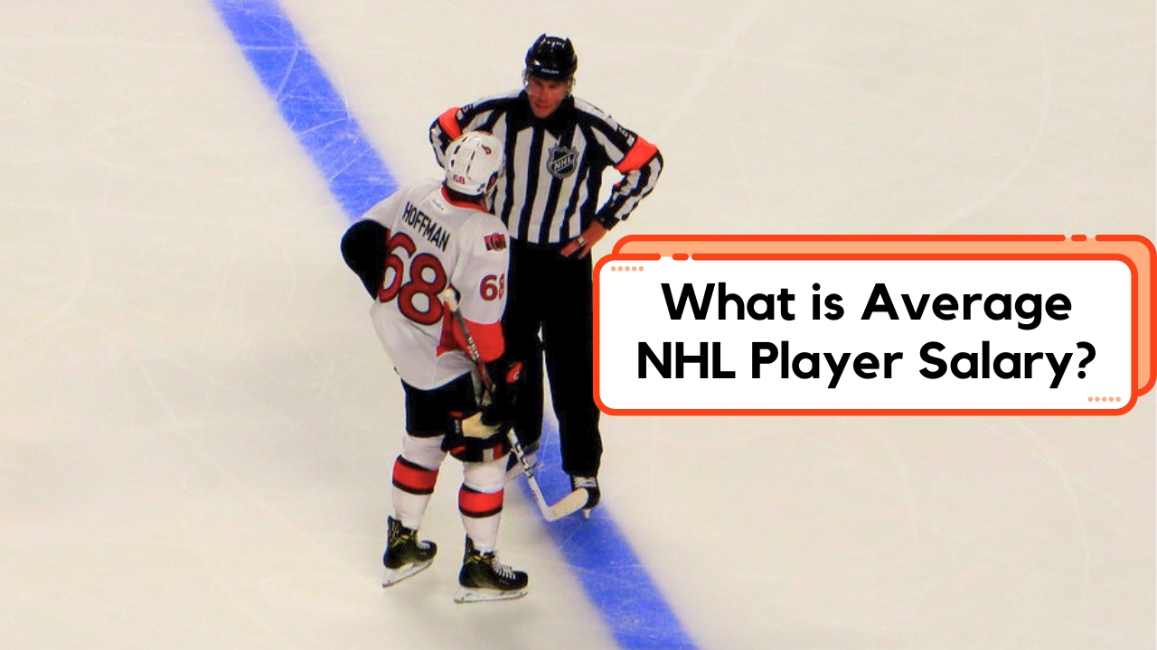 What Is The Average Hockey Player Salary
