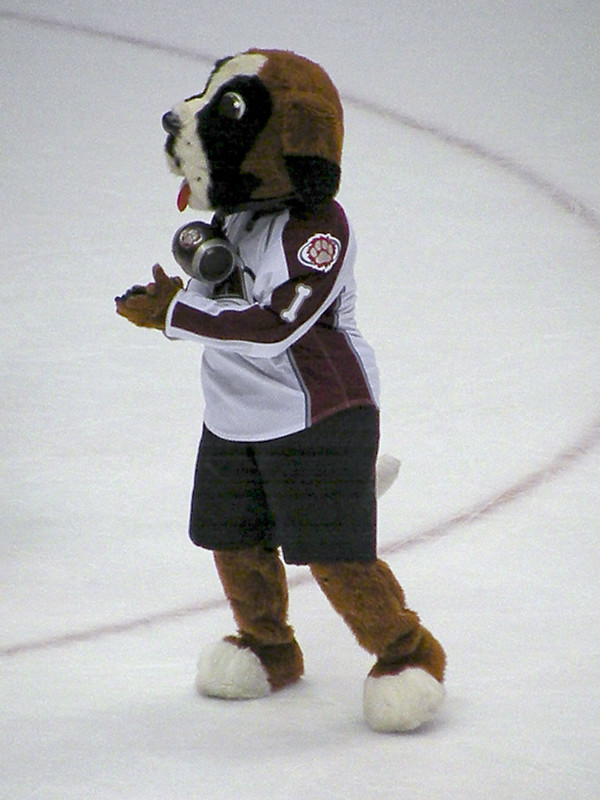 Bernie the St. Bernard, Colorado Avalanche Mascot